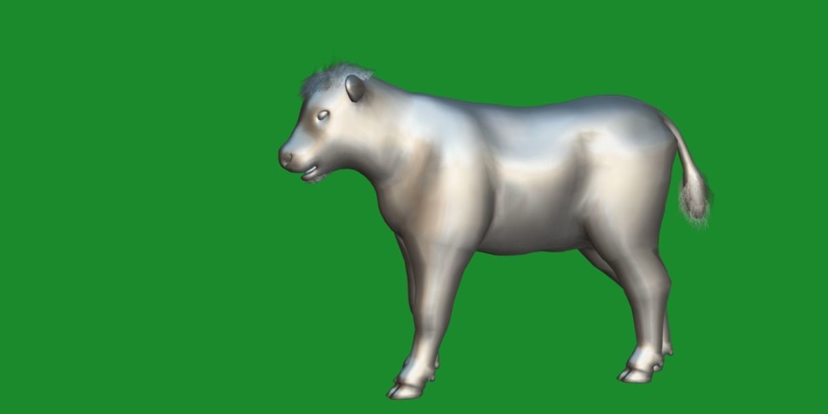 Hereford Cattle Calf Low-poly 3D model_14