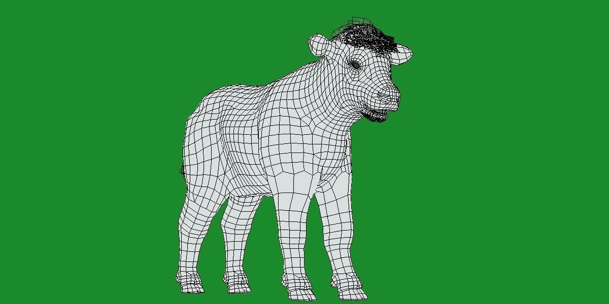 Hereford Cattle Calf Low-poly 3D model_16