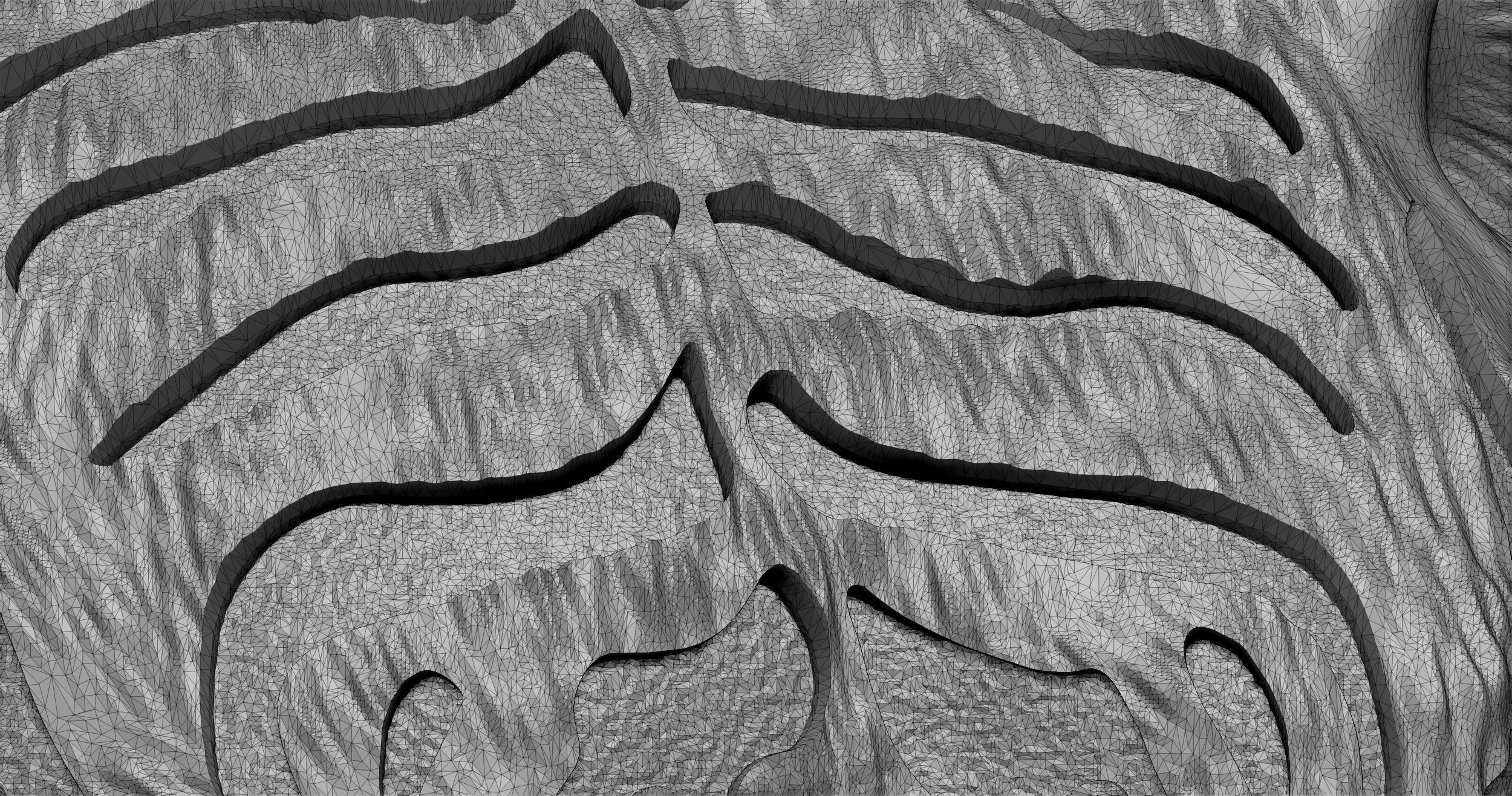 Tiger Ring 3D print model_4