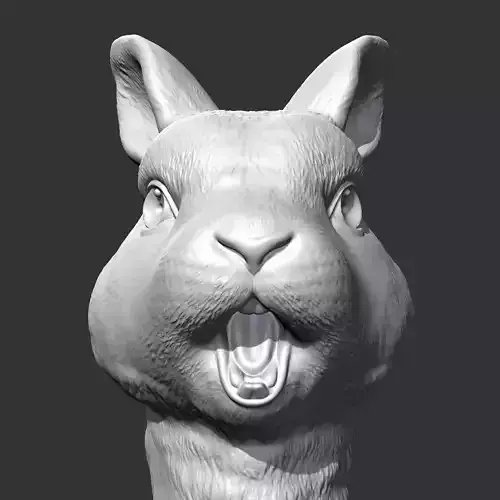 Rabbit Head AM35 3D print model 3D print model