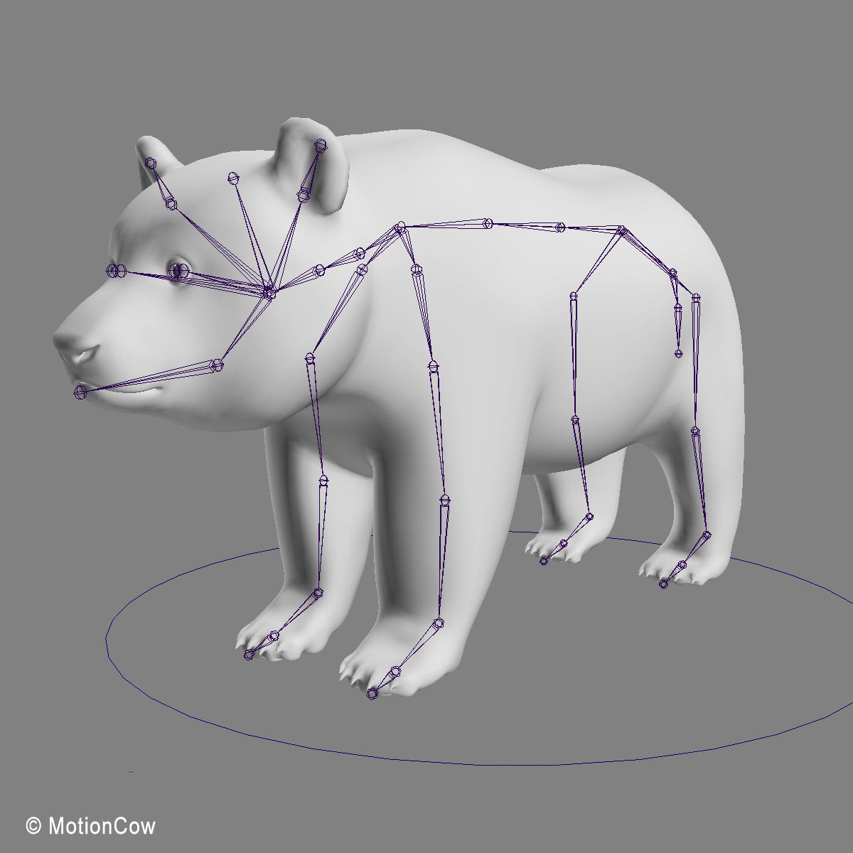 Panda Bear 3D model_18