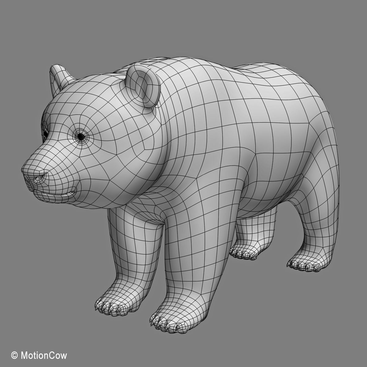 Panda Bear 3D model_16
