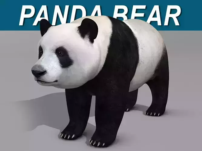 Panda Bear 3D model