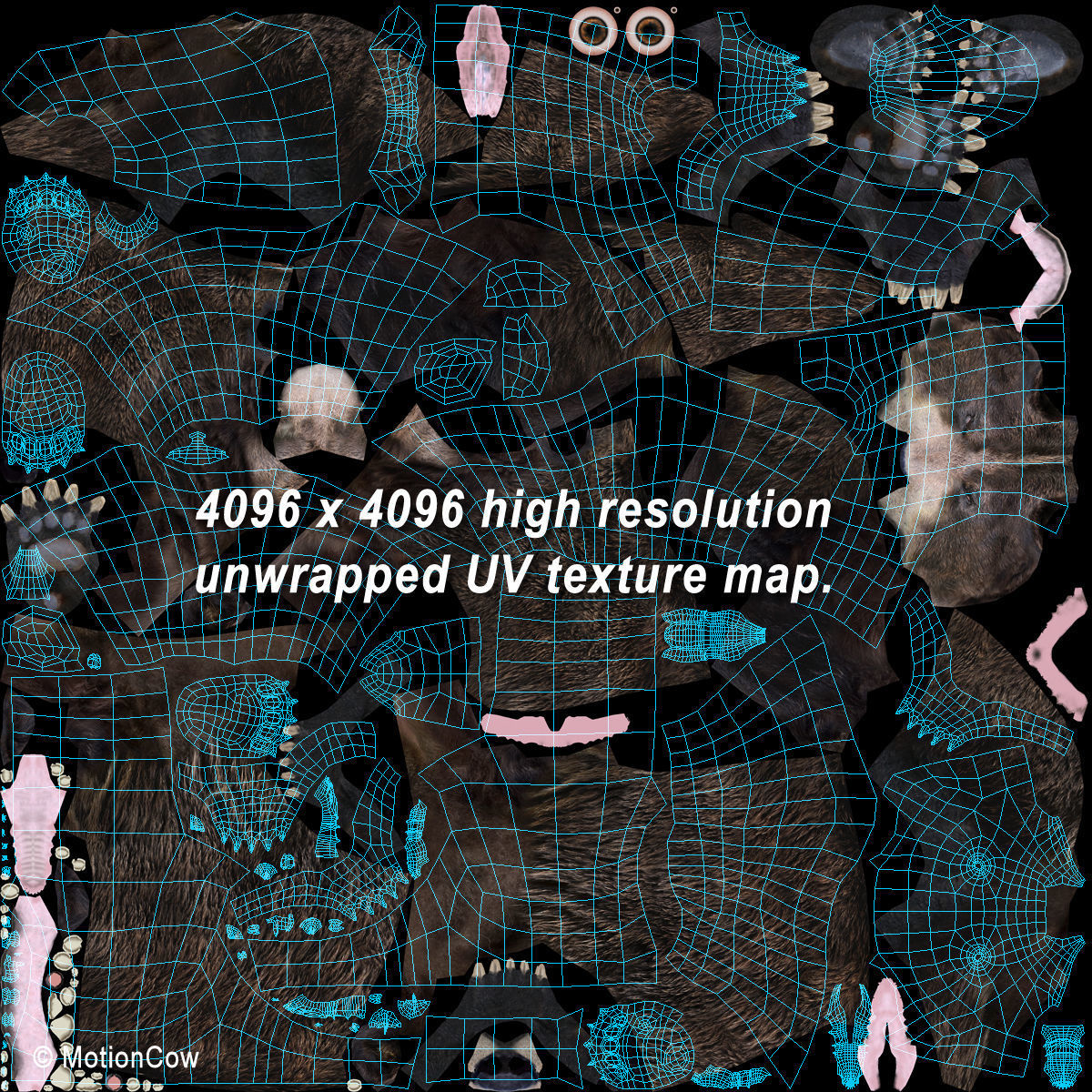 Panda Bear 3D model_19