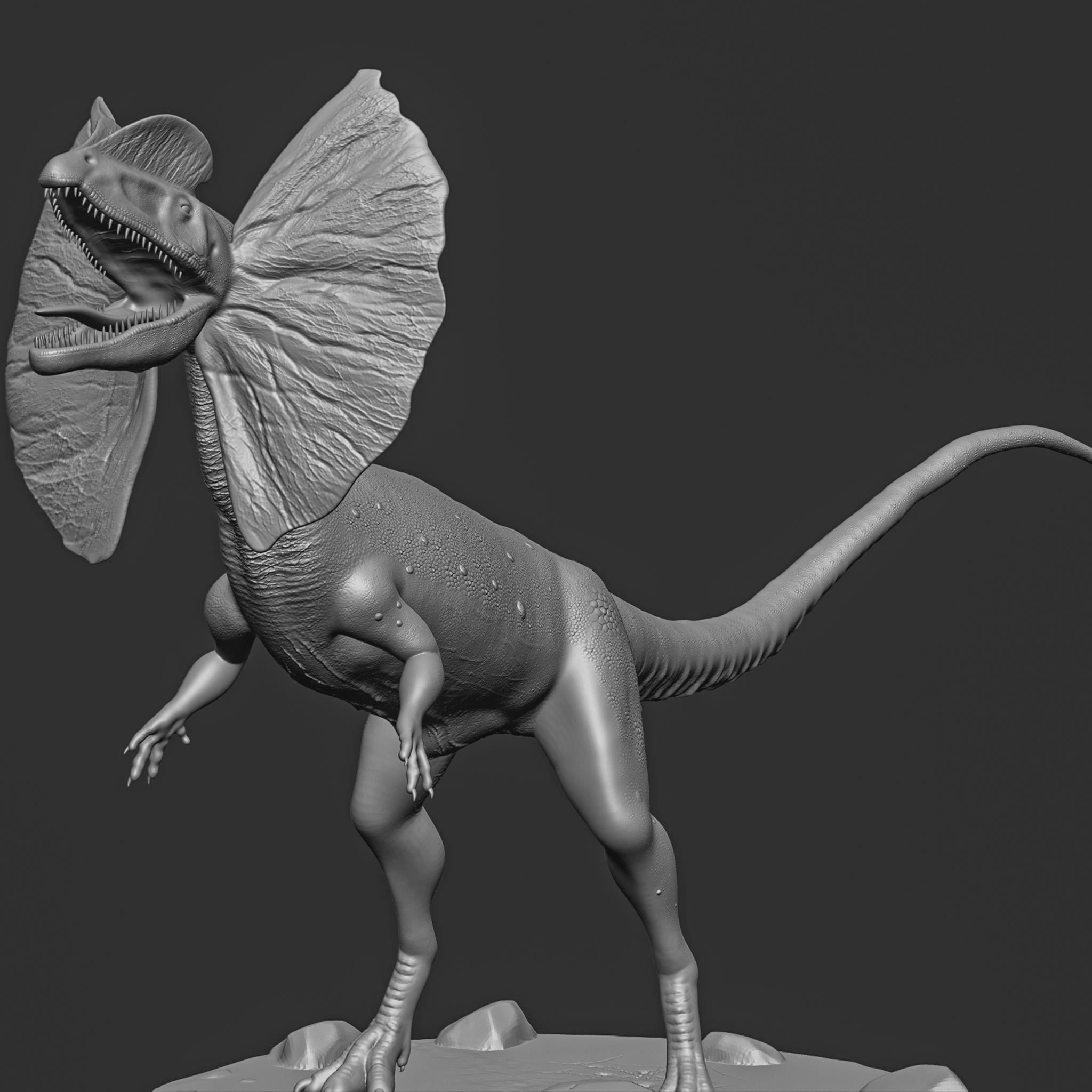 dilophosaurus wetherilli- Dinasour 3D print model_8