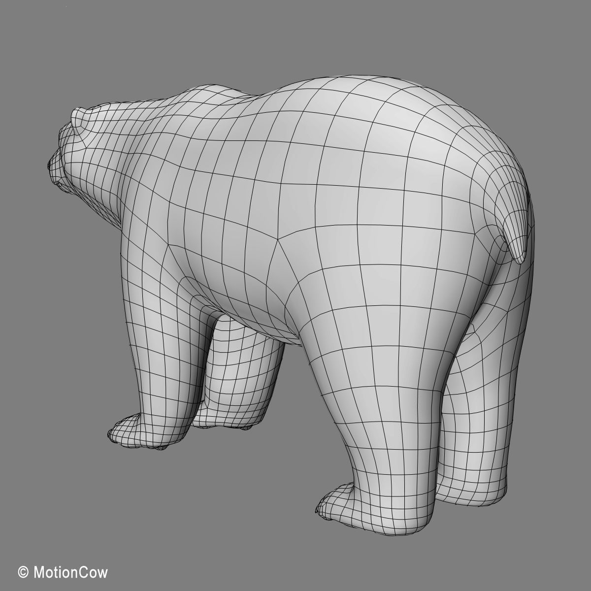 Polar Bear 3D model_16