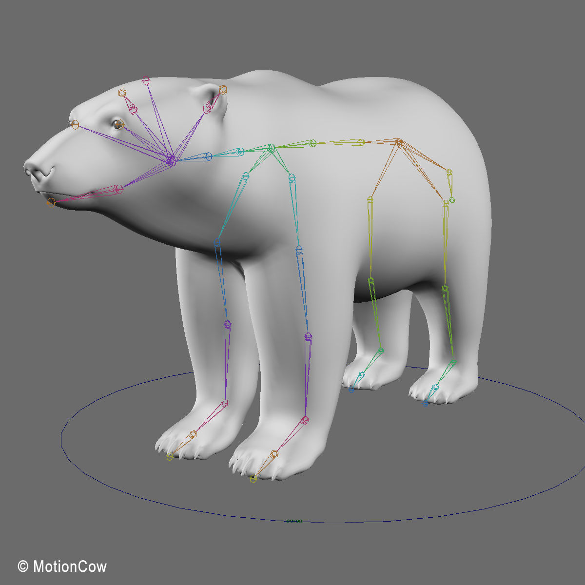 Polar Bear 3D model_17