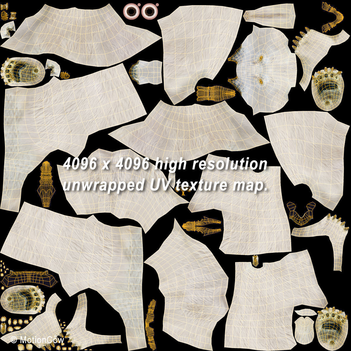 Polar Bear 3D model_18