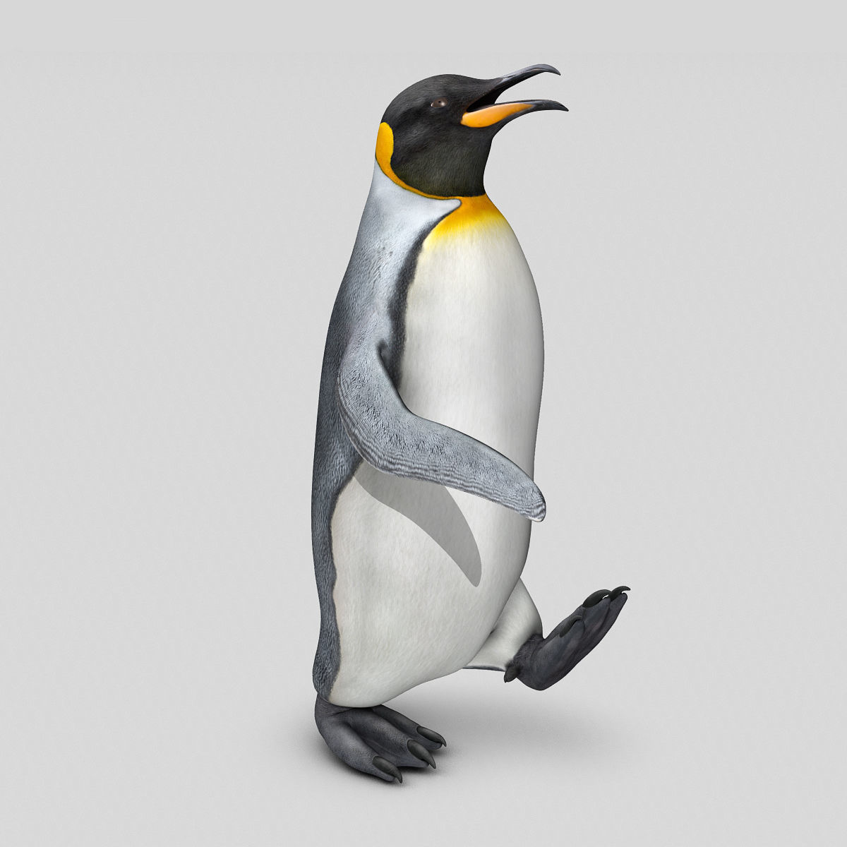 Penguin - King 3D model_11