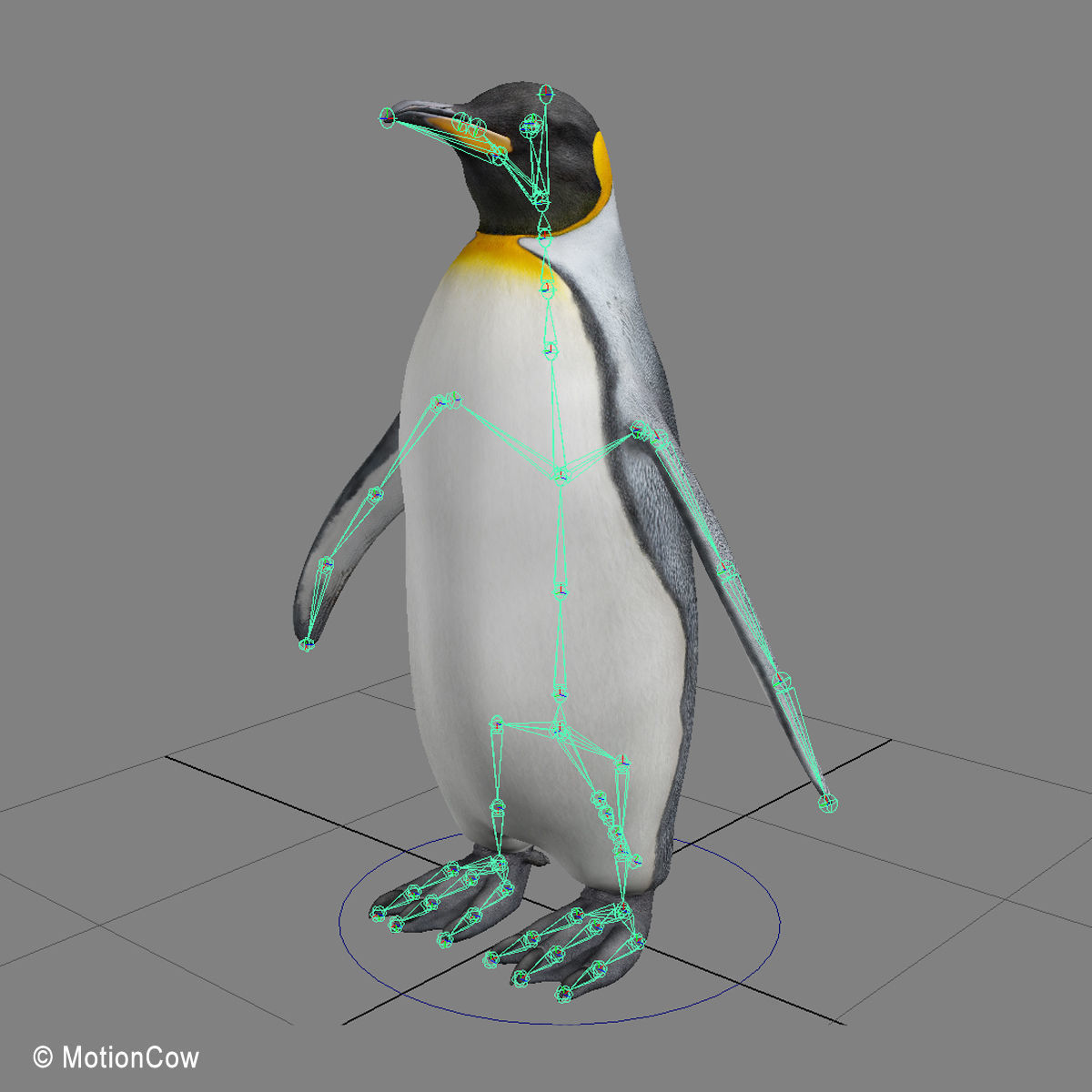 Penguin - King 3D model_19