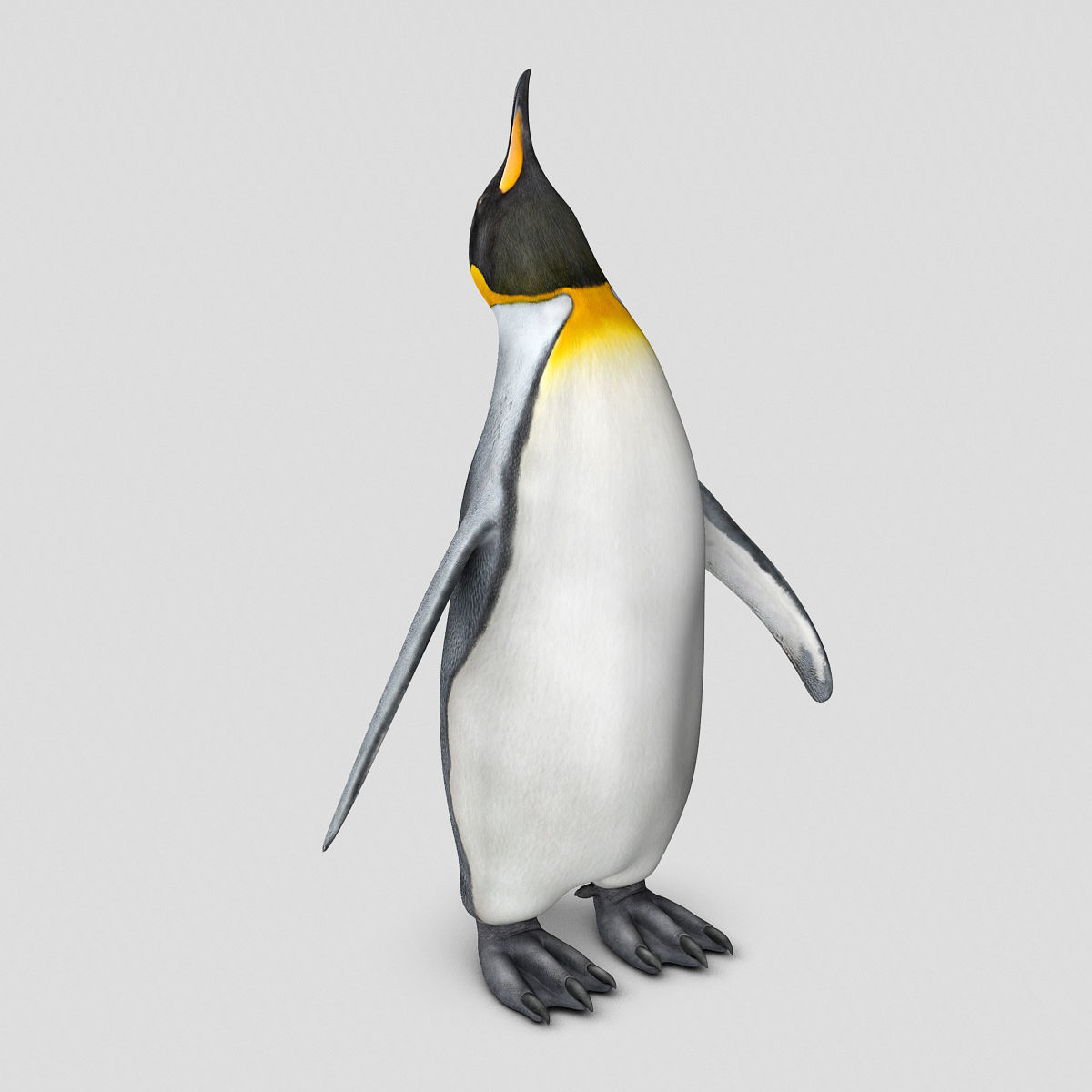 Penguin - King 3D model_14