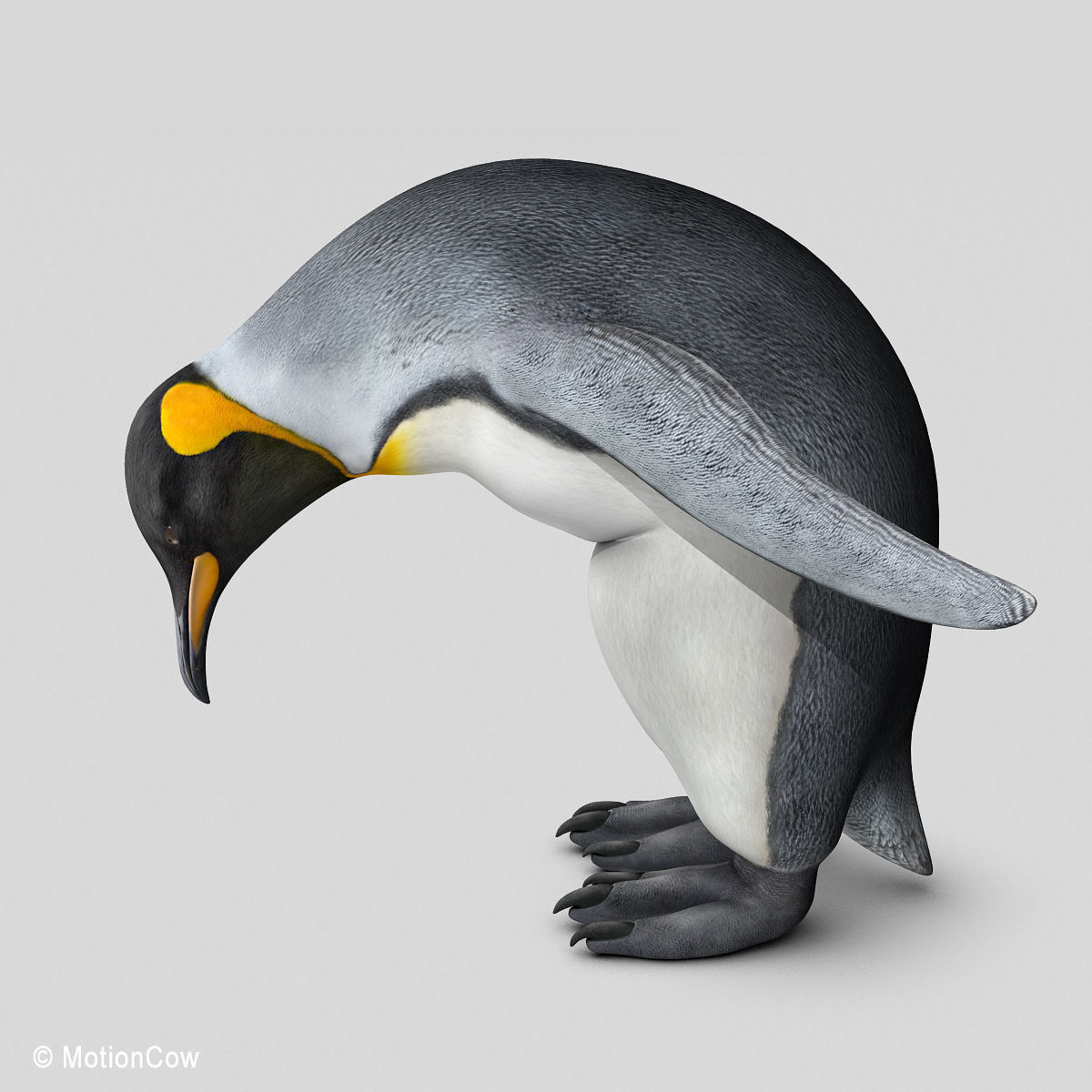 Penguin - King 3D model_12