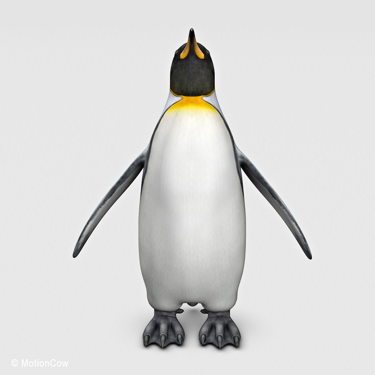 Penguin - King 3D model_4