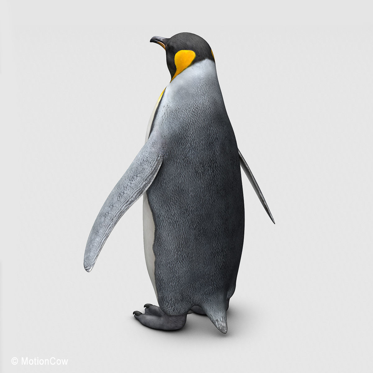 Penguin - King 3D model_6