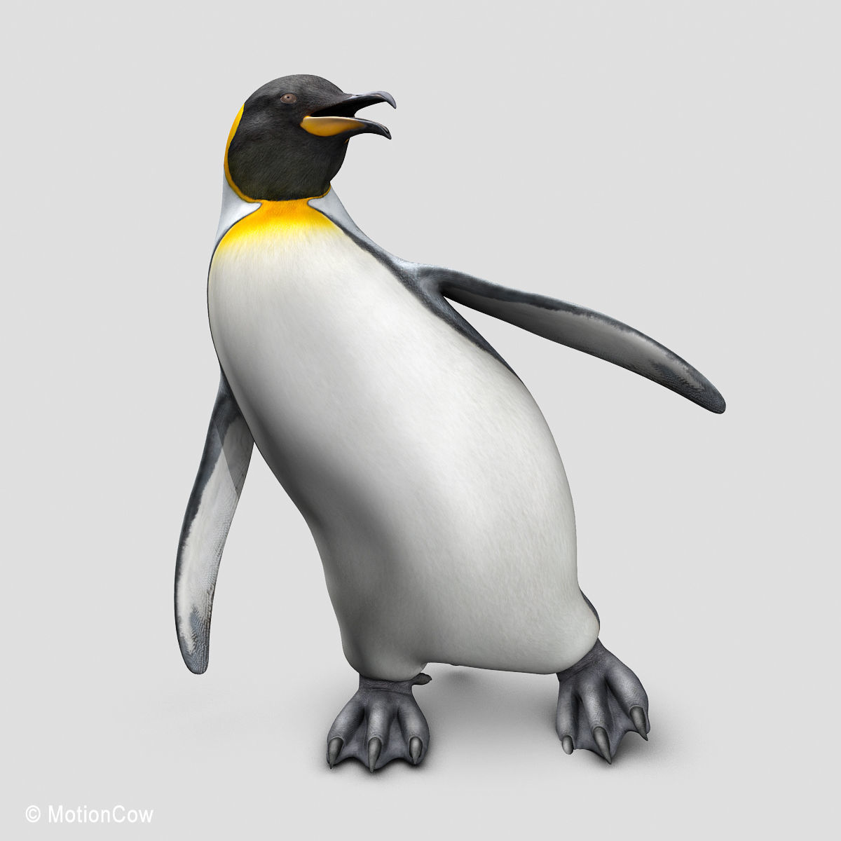 Penguin - King 3D model_7