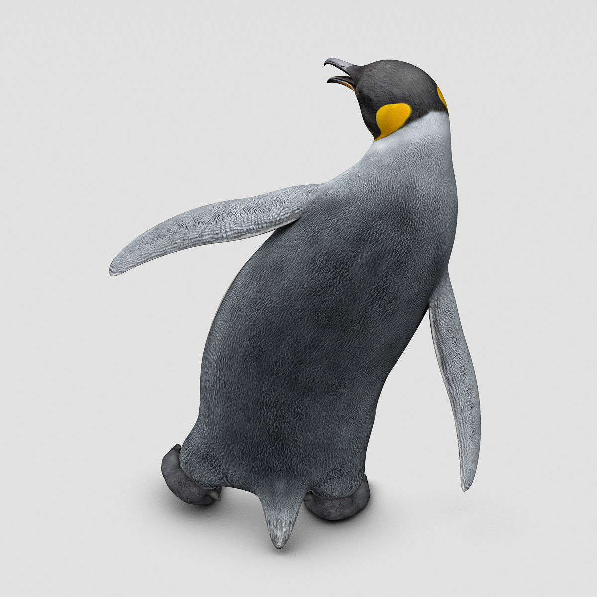 Penguin - King 3D model_8