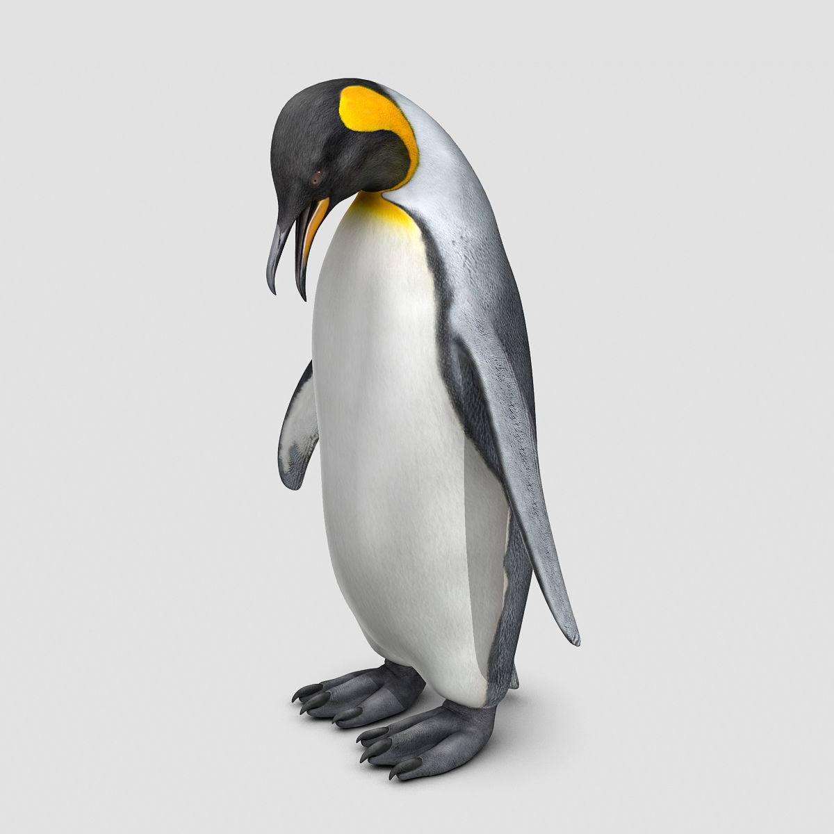 Penguin - King 3D model_10