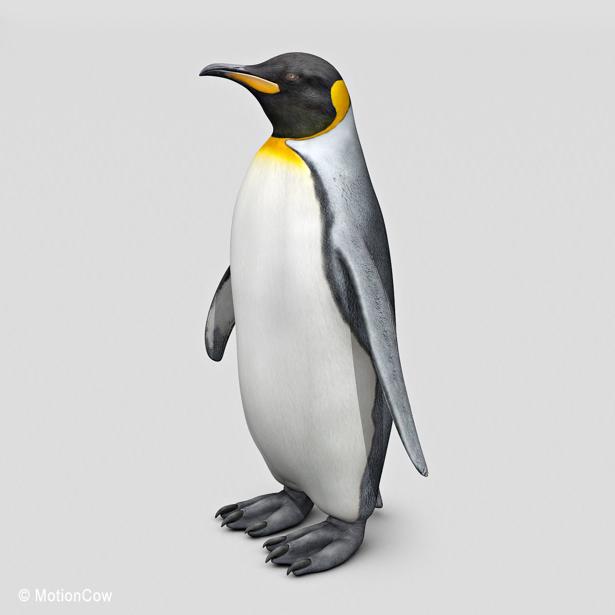 Penguin - King 3D model_3