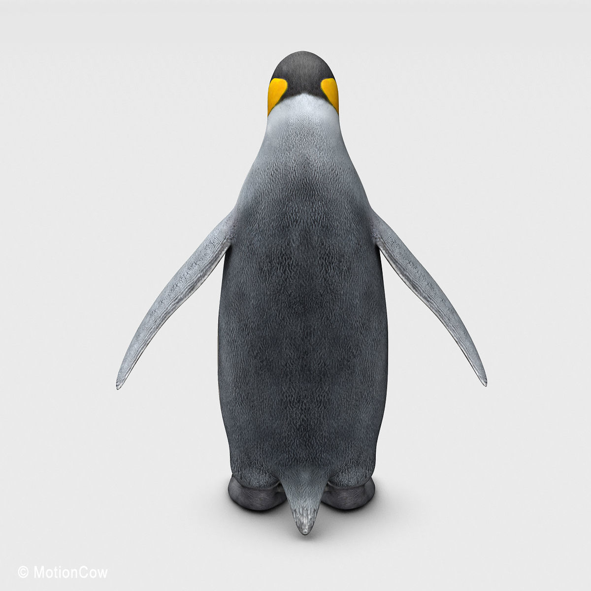 Penguin - King 3D model_5