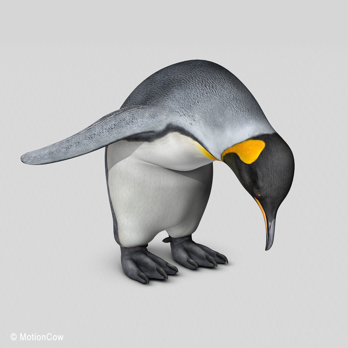 Penguin - King 3D model_13