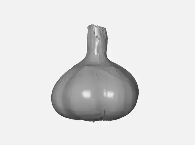 GARLIC HIGH QUALITY 3D  SCAN