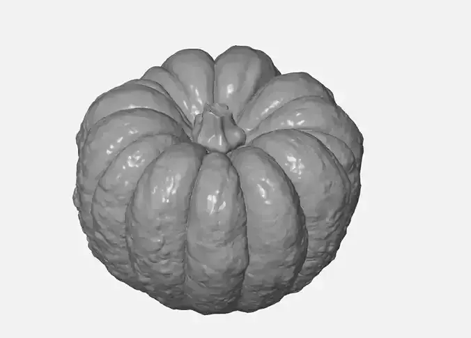 pumpkin HIGH QUALITY 3D