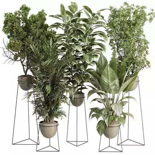 metal plants on stand - Office plant set indoor plant 516