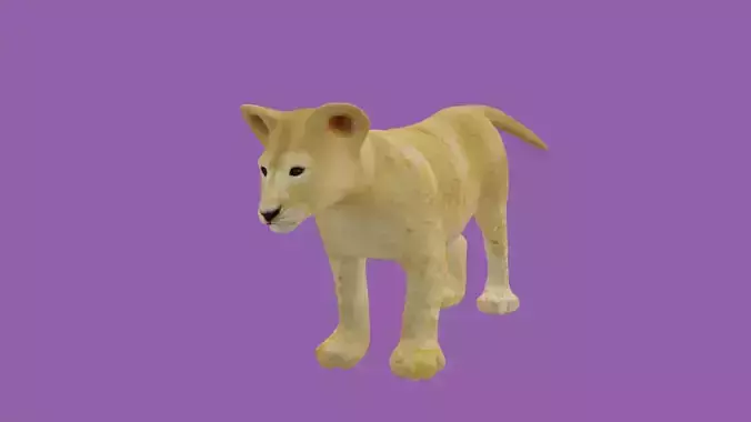 child lion lowpoly 3d model