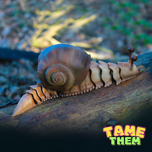 SNAIL  TOY  TURTLE  PRINT IN PLACE  ANIMAL  FLEXY CUTE  TAMETHEM 3D model