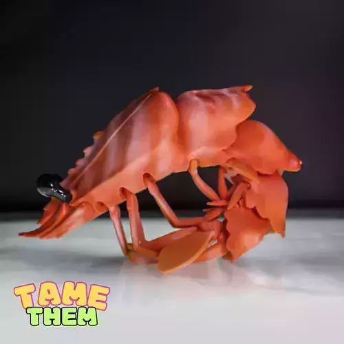 SHRIMP  TOY  TURTLE  PRINT IN PLACE  ANIMAL  FLEXY CUTE 