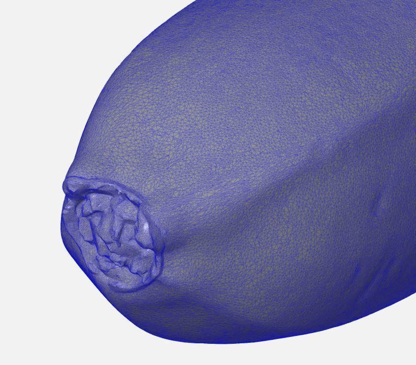 BANANA HIGH QUALITY 3D  SCAN 3D print model_2