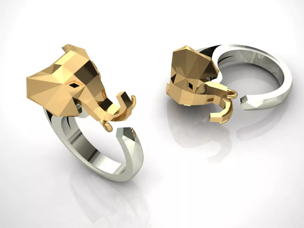 Elephant ring 3D print model_0