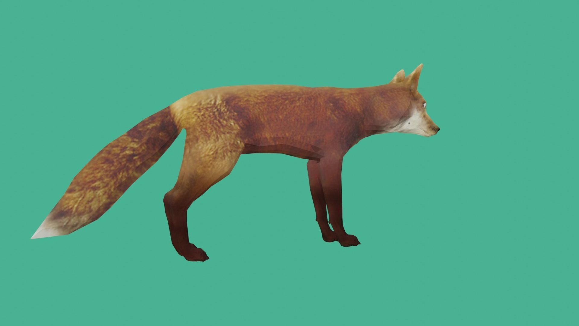 fox lowpoly 3d model 3D model_5