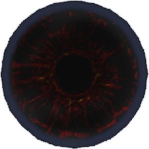 fox lowpoly 3d model 3D model_8