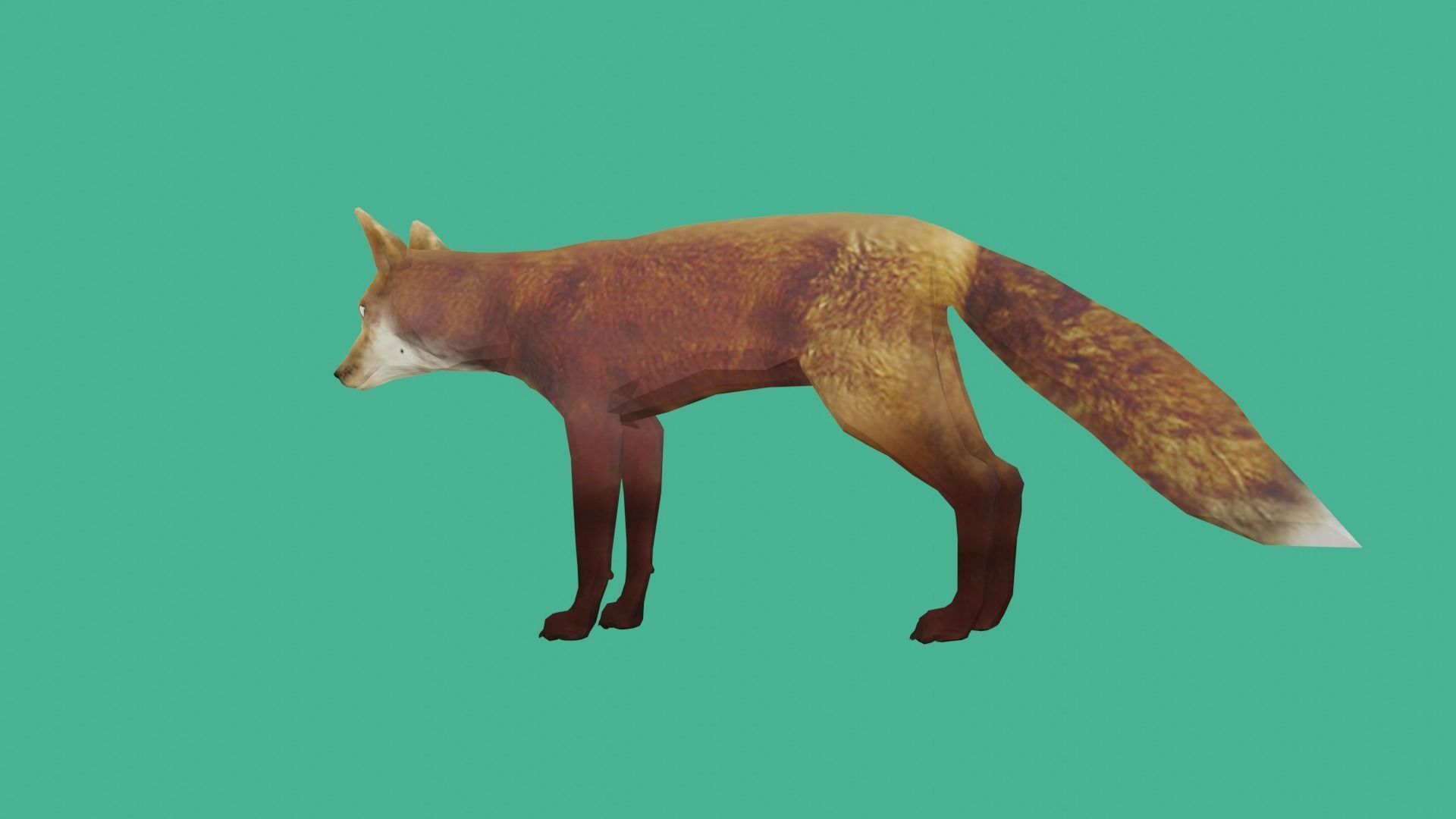fox lowpoly 3d model 3D model_2