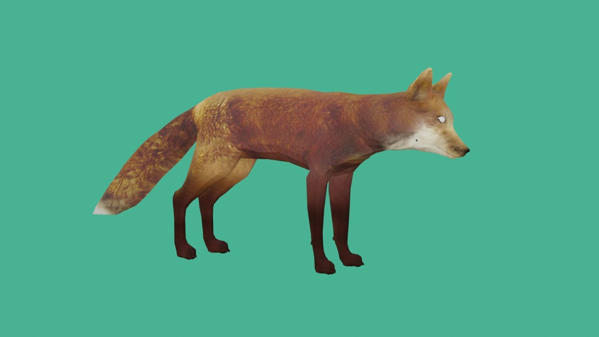 fox lowpoly 3d model 3D model_4