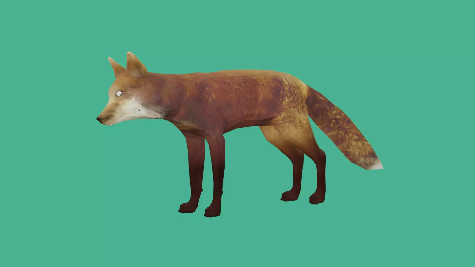 fox lowpoly 3d model 3D model_0