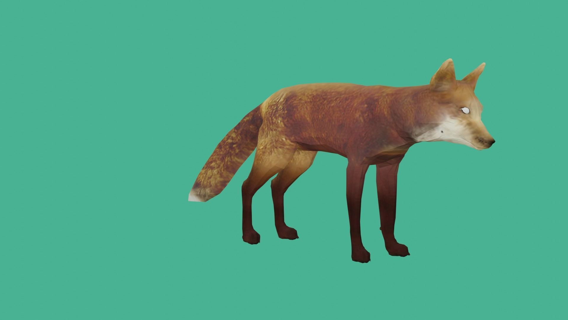 fox lowpoly 3d model 3D model_3