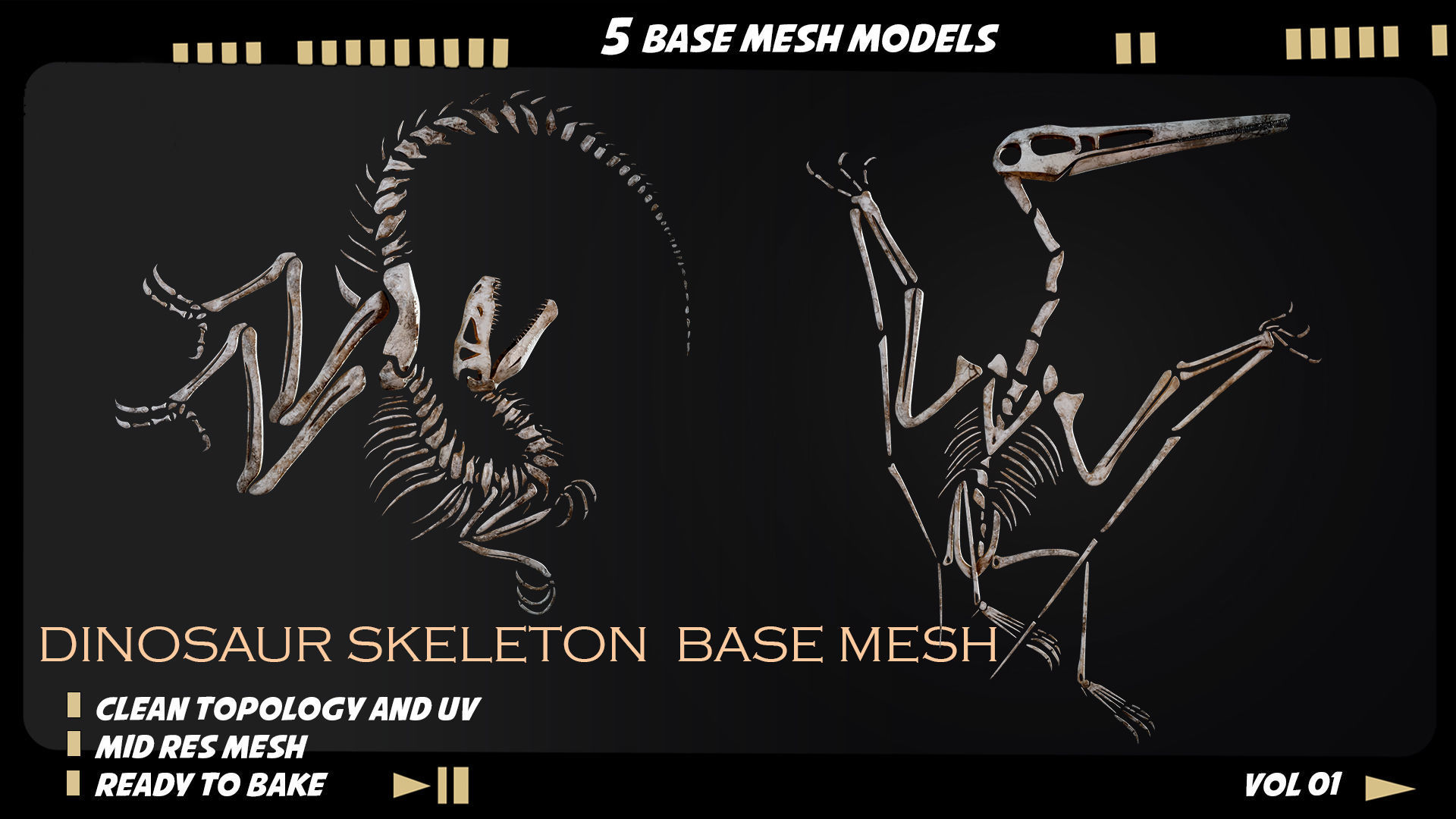 Dinosaur skeleton base mesh-vol 01 Low-poly 3D model_1
