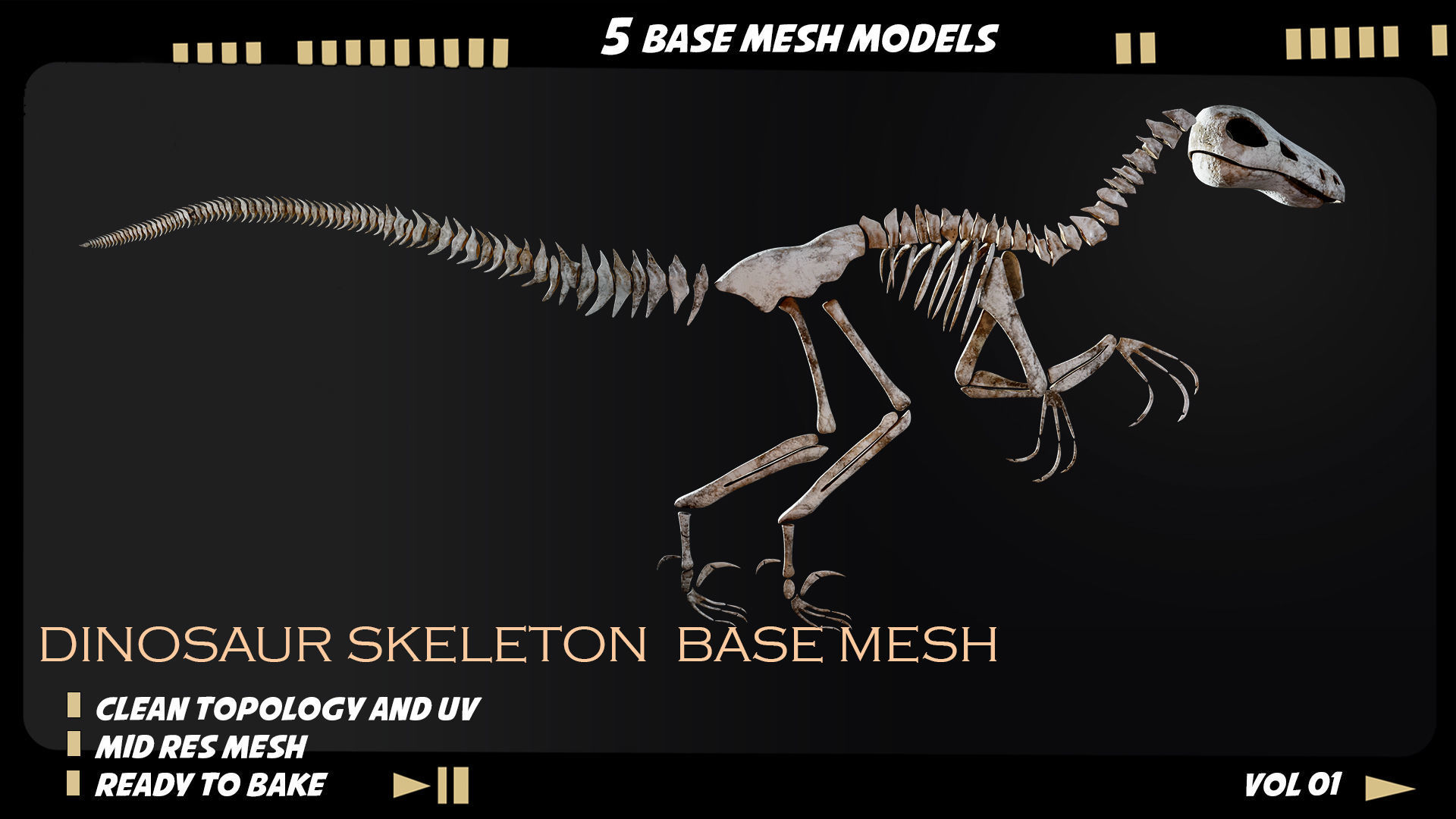 Dinosaur skeleton base mesh-vol 01 Low-poly 3D model_3