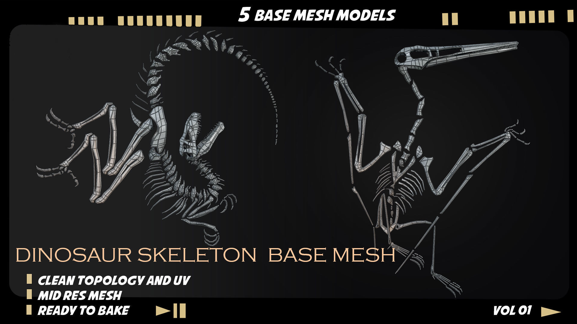 Dinosaur skeleton base mesh-vol 01 Low-poly 3D model_7