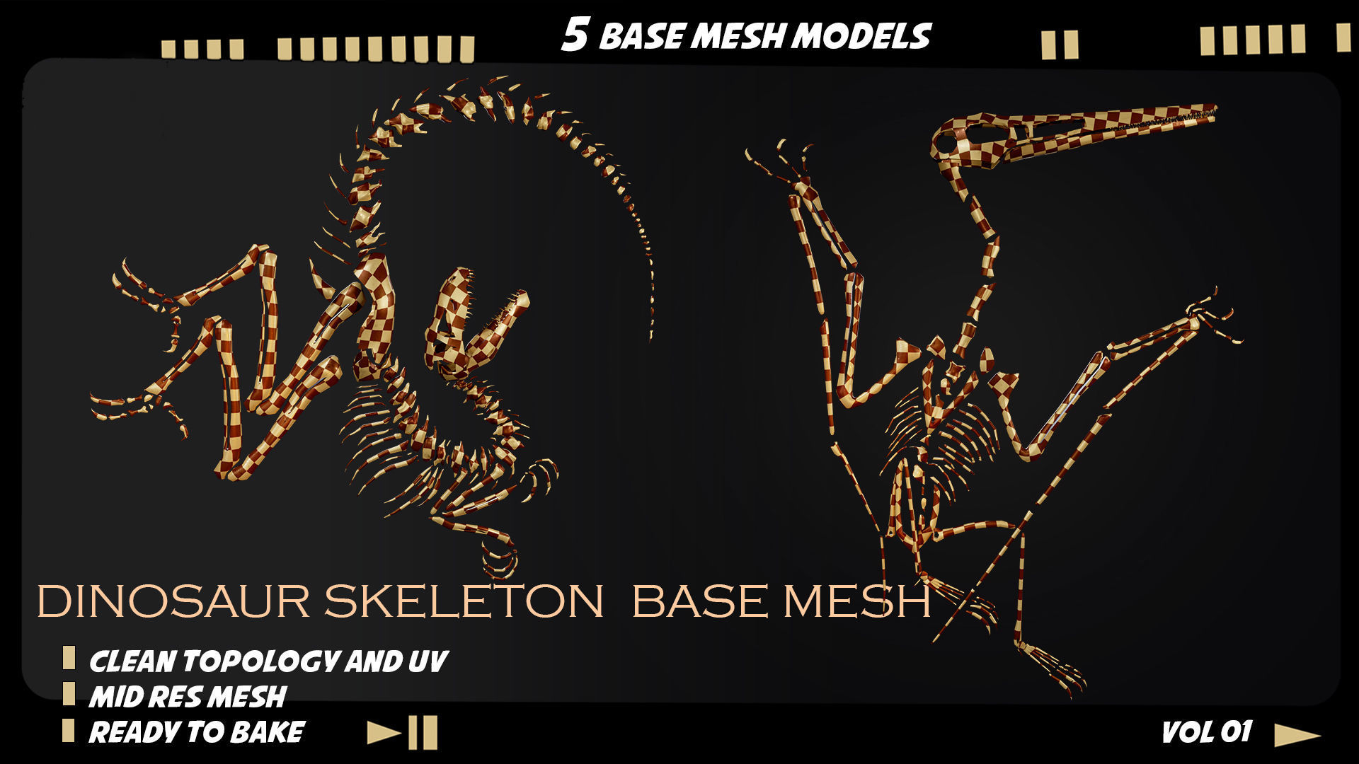 Dinosaur skeleton base mesh-vol 01 Low-poly 3D model_4