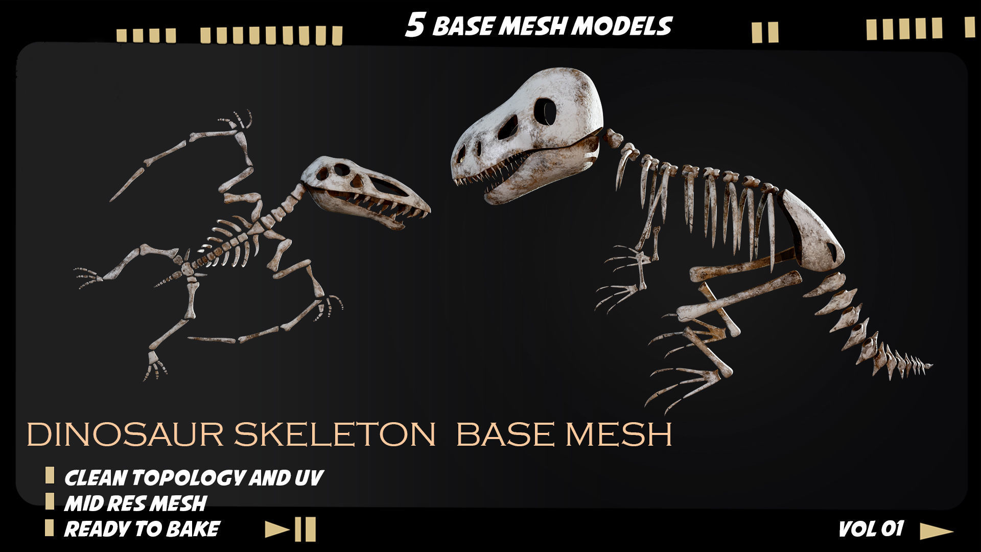 Dinosaur skeleton base mesh-vol 01 Low-poly 3D model_2