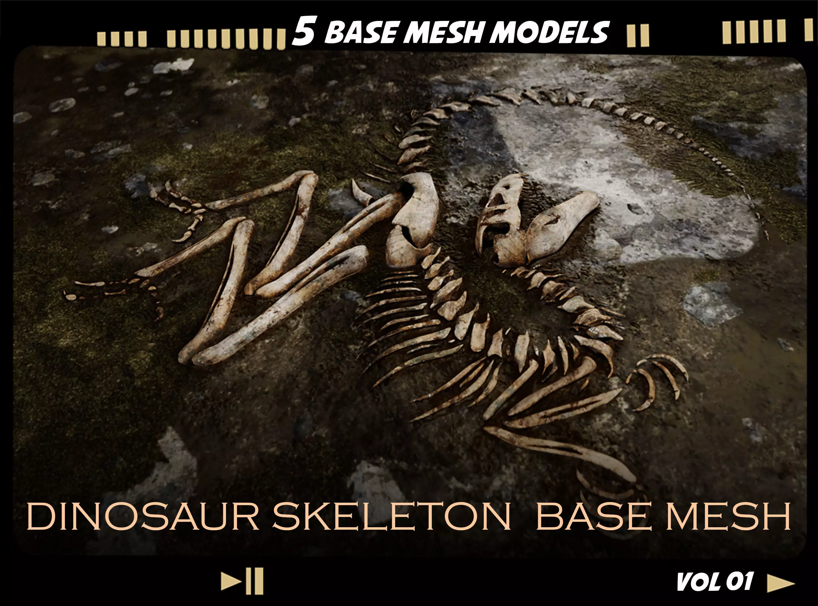 Dinosaur skeleton base mesh-vol 01 Low-poly 3D model_0