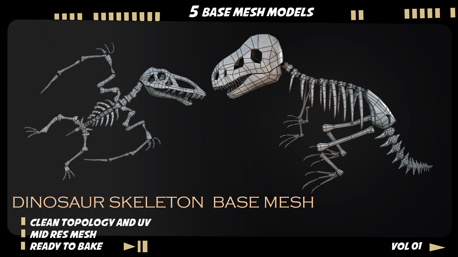 Dinosaur skeleton base mesh-vol 01 Low-poly 3D model_8