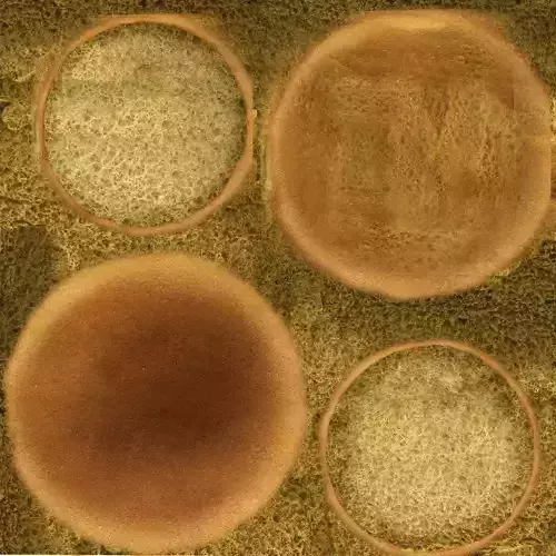 Juicy Burger and Crispy Fries