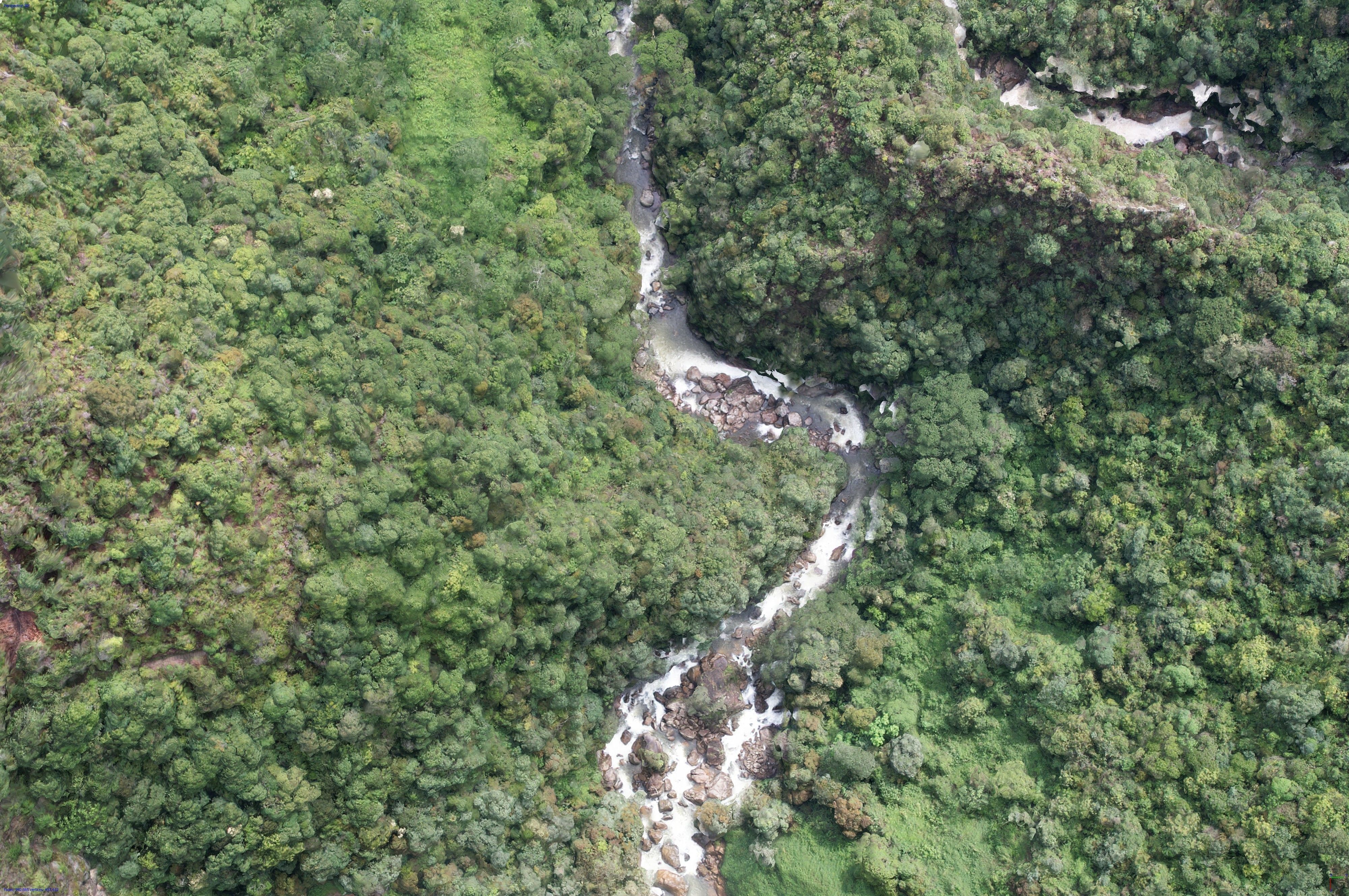 Rio Buey - Buey River Low-poly 3D model_14