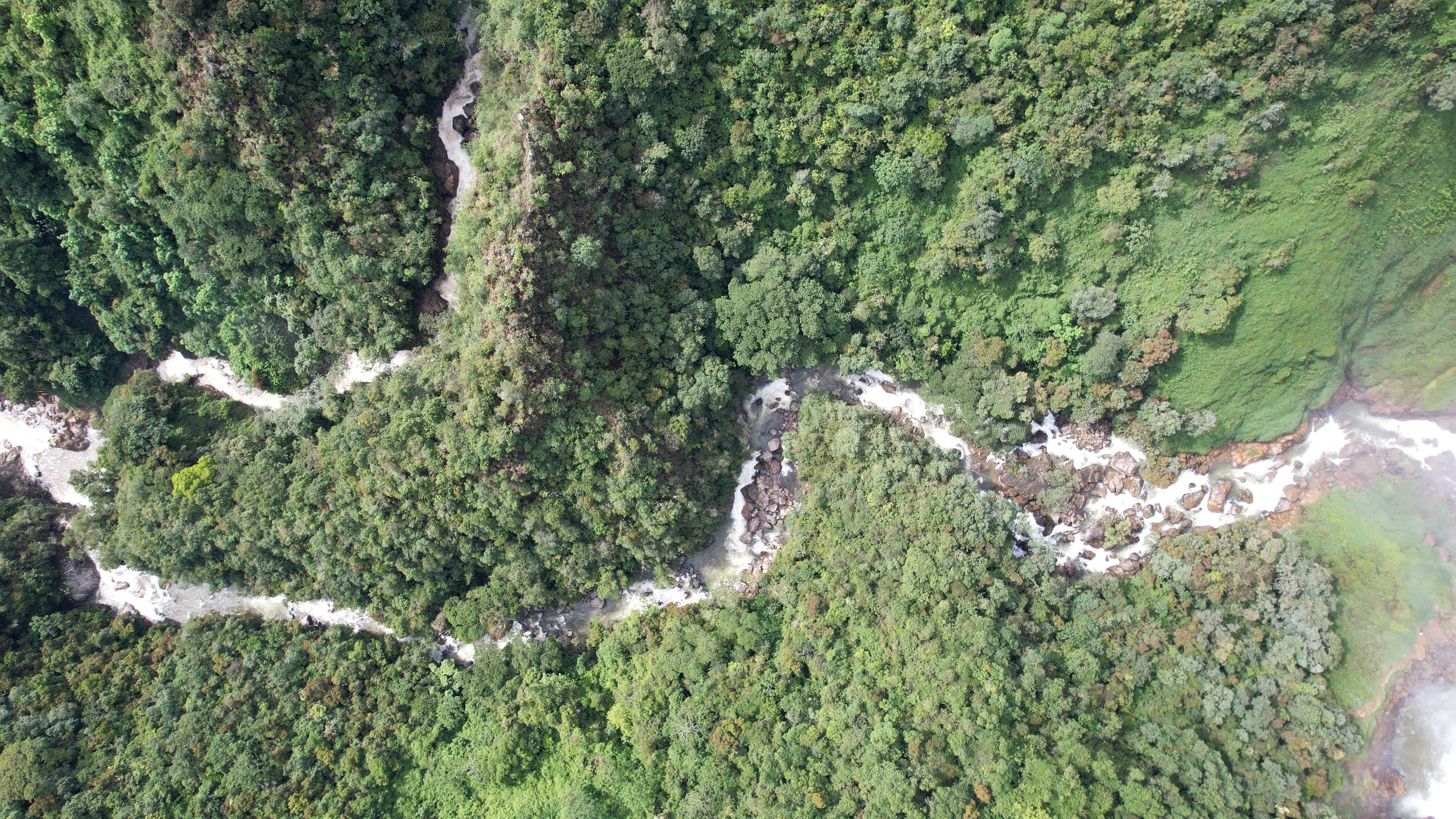 Rio Buey - Buey River Low-poly 3D model_21