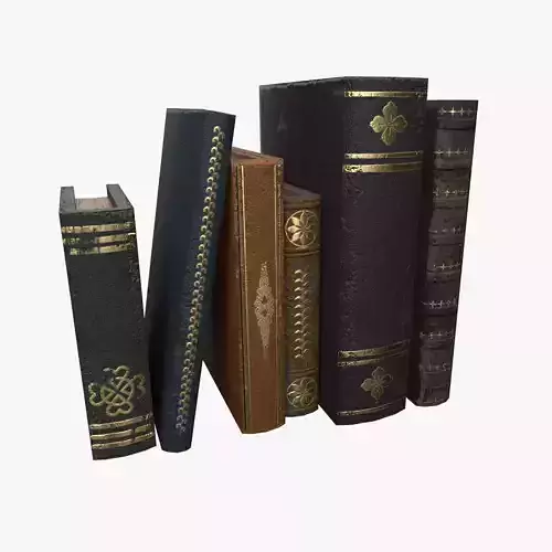 Old Damaged Books Set of Individual Books