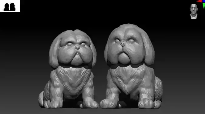 Shih tzu couple STL